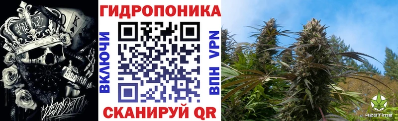 Бошки Шишки SATIVA & INDICA Краснослободск